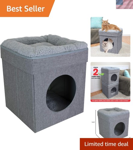 Elegant gray cat - elegant,
